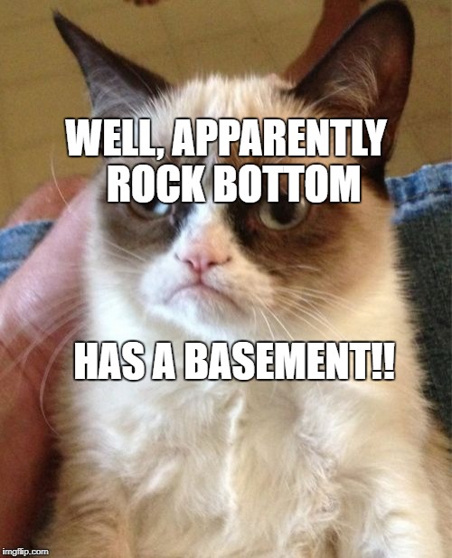 Grumpy Cat Meme | WELL, APPARENTLY 
ROCK BOTTOM; HAS A BASEMENT!! | image tagged in memes,grumpy cat | made w/ Imgflip meme maker