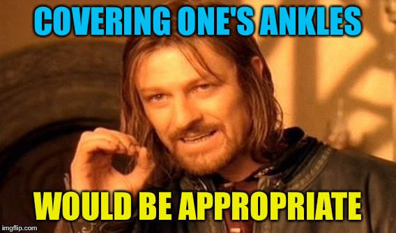 One Does Not Simply Meme | COVERING ONE'S ANKLES WOULD BE APPROPRIATE | image tagged in memes,one does not simply | made w/ Imgflip meme maker