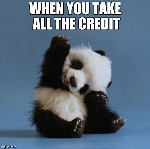 Panda | WHEN YOU TAKE ALL THE CREDIT | image tagged in panda | made w/ Imgflip meme maker