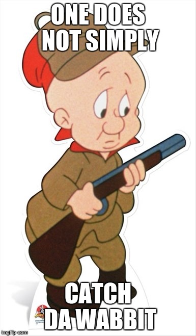 elmer fudd pictures funny