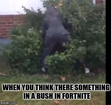 fortnit bush | WHEN YOU THINK THERE SOMETHING IN A BUSH IN FORTNITE | image tagged in fortnit bush | made w/ Imgflip meme maker