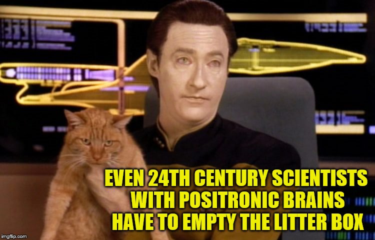 But he does it very fast. | EVEN 24TH CENTURY SCIENTISTS WITH POSITRONIC BRAINS HAVE TO EMPTY THE LITTER BOX | image tagged in star trek data,cats,funny | made w/ Imgflip meme maker