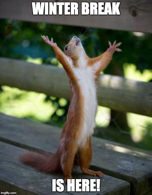 Happy Squirrel | WINTER BREAK; IS HERE! | image tagged in happy squirrel | made w/ Imgflip meme maker