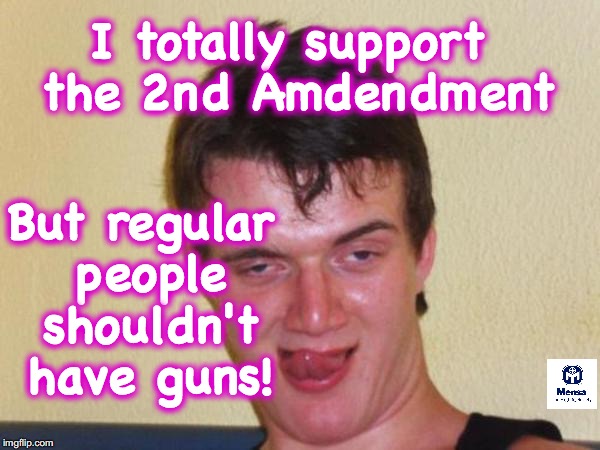 leems segit | I totally support the 2nd Amdendment; But regular people shouldn't have guns! | image tagged in hypocrisy | made w/ Imgflip meme maker
