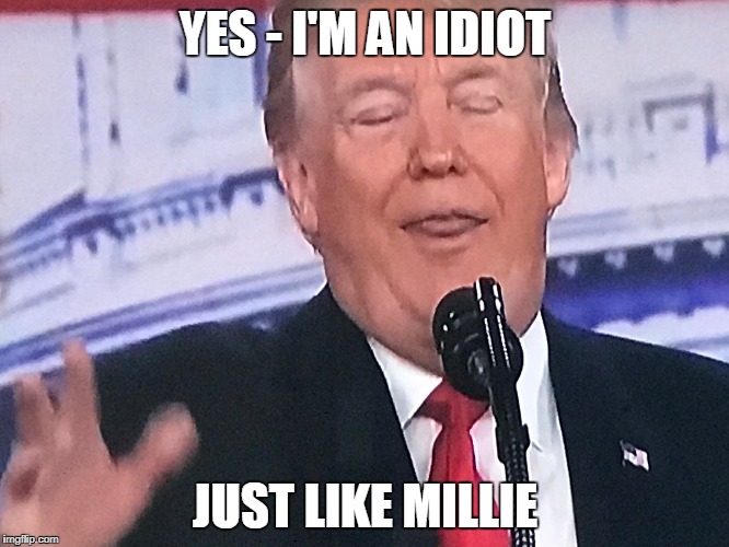 YES - I'M AN IDIOT; JUST LIKE MILLIE | made w/ Imgflip meme maker