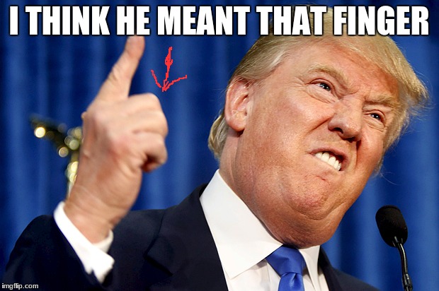 Donald Trump | I THINK HE MEANT THAT FINGER | image tagged in donald trump | made w/ Imgflip meme maker