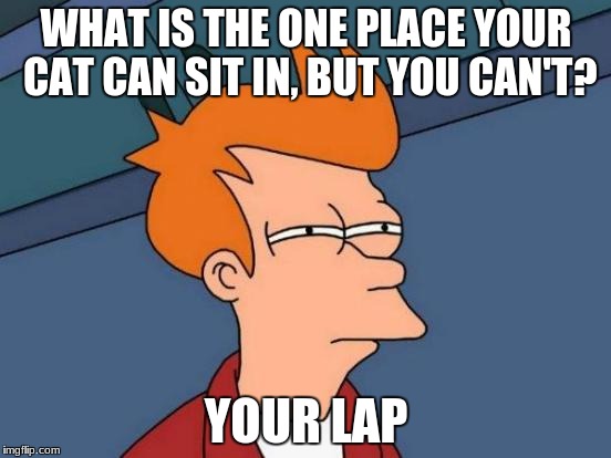 Futurama Fry | WHAT IS THE ONE PLACE YOUR CAT CAN SIT IN, BUT YOU CAN'T? YOUR LAP | image tagged in memes,futurama fry | made w/ Imgflip meme maker