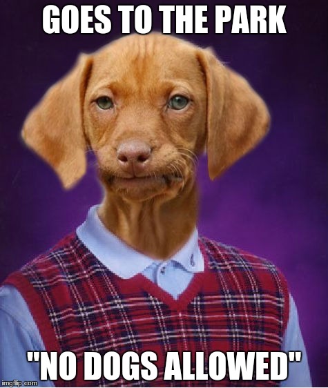 Bad Luck Raydog | GOES TO THE PARK; "NO DOGS ALLOWED" | image tagged in bad luck raydog | made w/ Imgflip meme maker