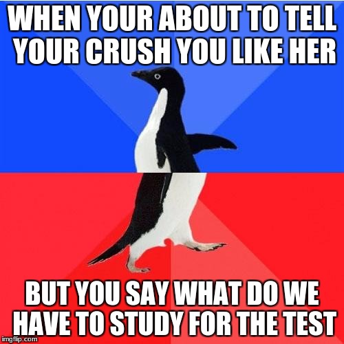 Socially Awkward Awesome Penguin | WHEN YOUR ABOUT TO TELL YOUR CRUSH YOU LIKE HER; BUT YOU SAY WHAT DO WE HAVE TO STUDY FOR THE TEST | image tagged in memes,socially awkward awesome penguin | made w/ Imgflip meme maker