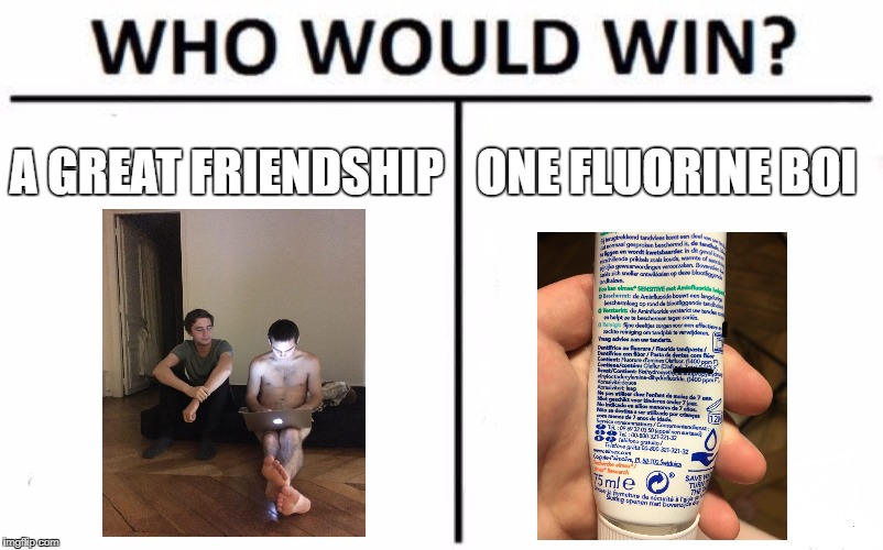 Who Would Win? | A GREAT FRIENDSHIP; ONE FLUORINE BOI | image tagged in memes,who would win | made w/ Imgflip meme maker