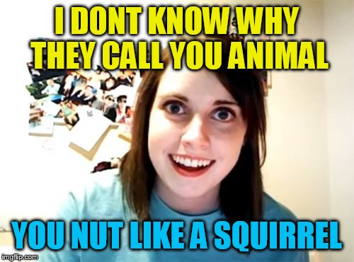 Overly Attached Girlfriend Meme | I DONT KNOW WHY THEY CALL YOU ANIMAL; YOU NUT LIKE A SQUIRREL | image tagged in memes,overly attached girlfriend | made w/ Imgflip meme maker