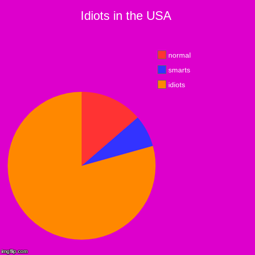 Idiots in the USA | idiots, smarts, normal | image tagged in funny,pie charts | made w/ Imgflip chart maker