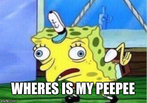 Mocking Spongebob Meme | WHERES IS MY PEEPEE | image tagged in memes,mocking spongebob | made w/ Imgflip meme maker