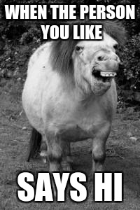 ugly horse | WHEN THE PERSON YOU LIKE; SAYS HI | image tagged in ugly horse | made w/ Imgflip meme maker
