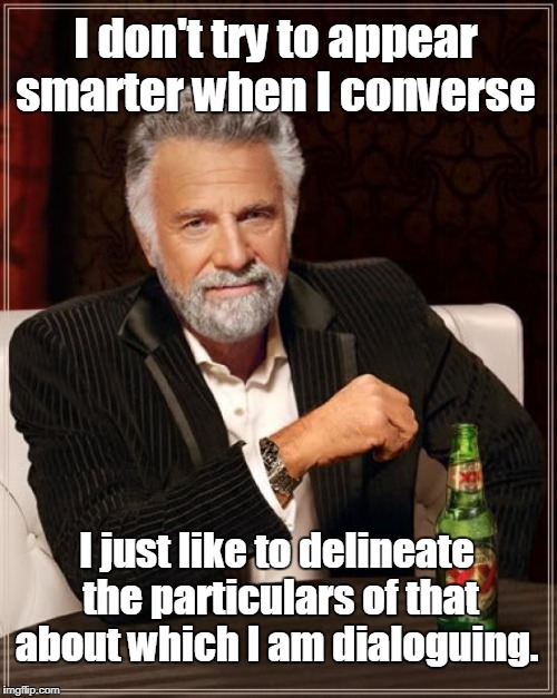 The Most Interesting Man In The World Meme | I don't try to appear smarter when I converse I just like to delineate the particulars of that about which I am dialoguing. | image tagged in memes,the most interesting man in the world | made w/ Imgflip meme maker