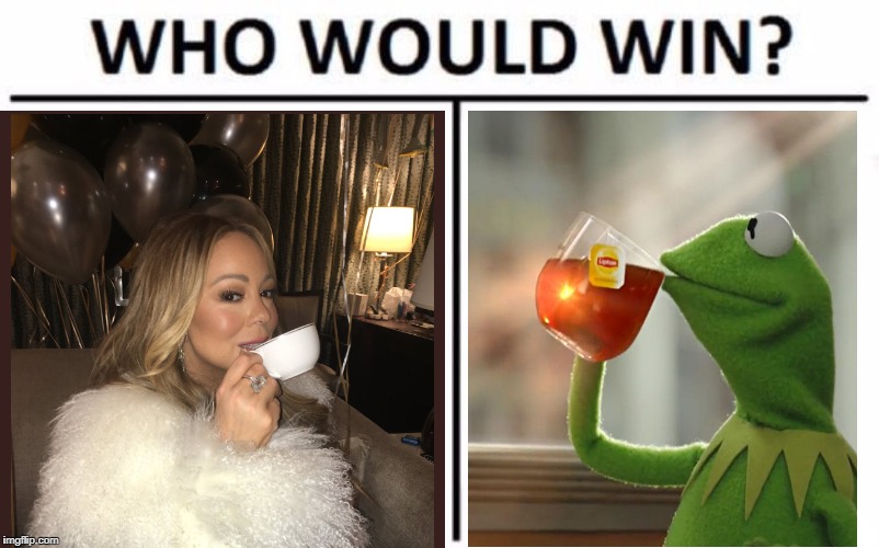 Who would win - and why? Please vote in comments.  | image tagged in who would win | made w/ Imgflip meme maker