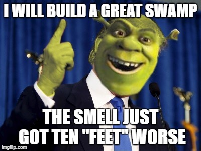 Shrek For President | I WILL BUILD A GREAT SWAMP; THE SMELL JUST GOT TEN "FEET" WORSE | image tagged in shrek for president | made w/ Imgflip meme maker