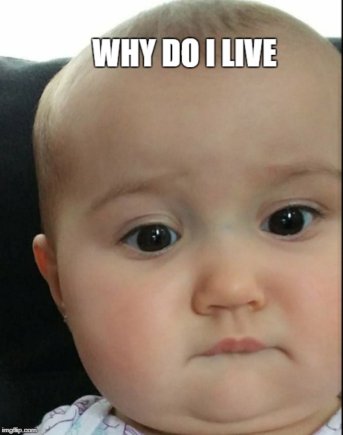WHY DO I LIVE | image tagged in skeptical baby | made w/ Imgflip meme maker