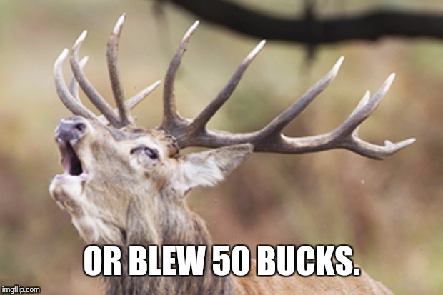 OR BLEW 50 BUCKS. | made w/ Imgflip meme maker