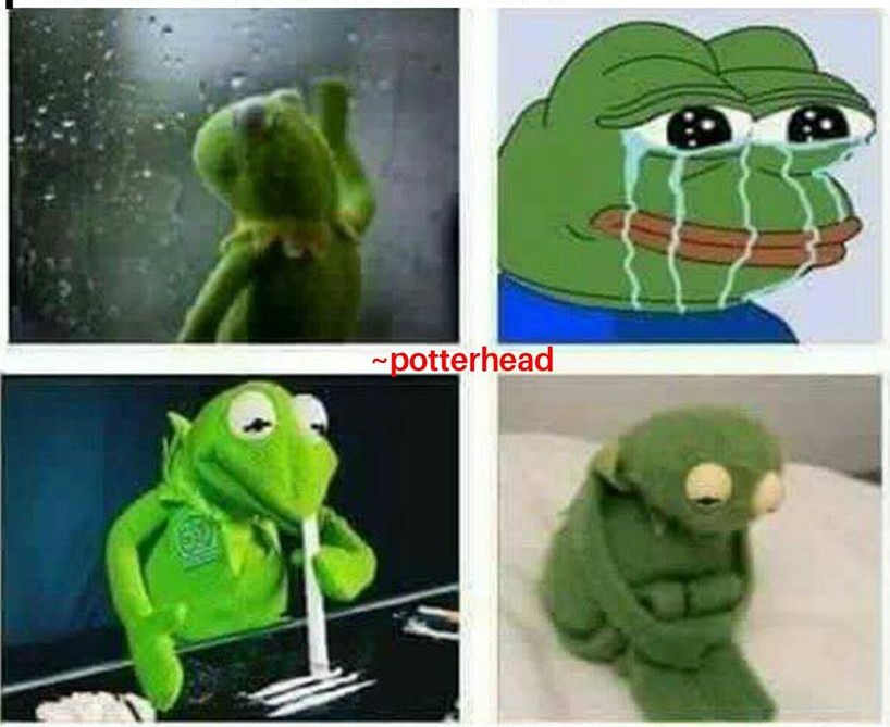 Sad Pepe the Frog Blank Meme Template