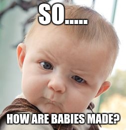 Skeptical Baby Meme | SO..... HOW ARE BABIES MADE? | image tagged in memes,skeptical baby | made w/ Imgflip meme maker