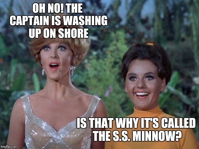 OH NO! THE CAPTAIN IS WASHING UP ON SHORE IS THAT WHY IT'S CALLED THE S.S. MINNOW? | made w/ Imgflip meme maker