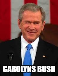 George Bush | CAROLYNS BUSH | image tagged in memes,george bush | made w/ Imgflip meme maker