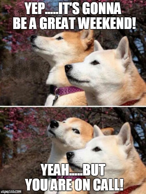 constipation dogs | YEP.....IT'S GONNA BE A GREAT WEEKEND! YEAH.....BUT YOU ARE ON CALL! | image tagged in constipation dogs | made w/ Imgflip meme maker