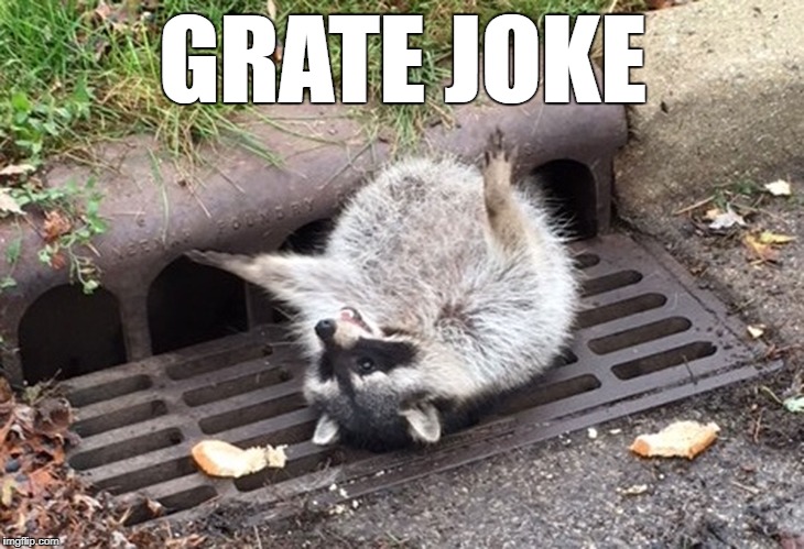 GRATE JOKE | made w/ Imgflip meme maker