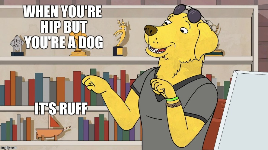 Mr Peanutbutter Later | WHEN YOU'RE HIP BUT YOU'RE A DOG; IT'S RUFF | image tagged in mr peanutbutter later | made w/ Imgflip meme maker