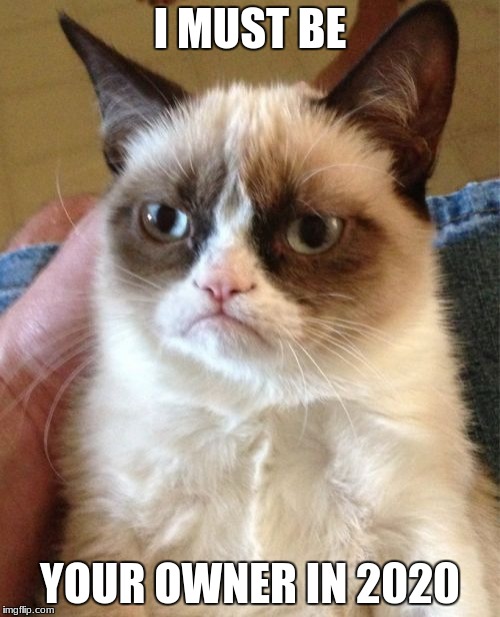 Grumpy Cat | I MUST BE; YOUR OWNER IN 2020 | image tagged in memes,grumpy cat | made w/ Imgflip meme maker