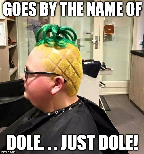 WHOLE DOLE | GOES BY THE NAME OF; DOLE. . . JUST DOLE! | image tagged in funny | made w/ Imgflip meme maker