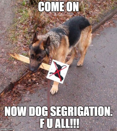 Good Boy | COME ON; NOW DOG SEGRIGATION. F U ALL!!! | image tagged in good boy | made w/ Imgflip meme maker