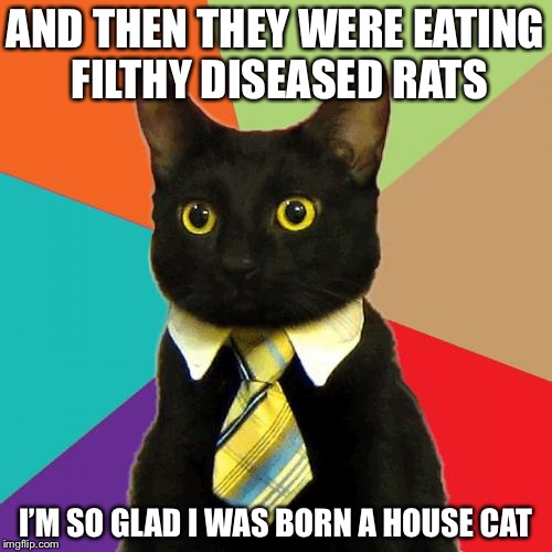 Business Cat Meme | AND THEN THEY WERE EATING FILTHY DISEASED RATS; I’M SO GLAD I WAS BORN A HOUSE CAT | image tagged in memes,business cat | made w/ Imgflip meme maker