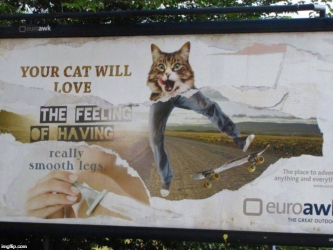 Will Somebody Please Fix This Billboard?! | image tagged in funny,signs/billboards | made w/ Imgflip meme maker