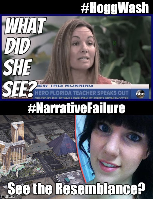 #NarrativeFailure? Pray for Teacher/Hero Stacey Libbel @ Parkland Stoneman Douglas HighSchool #GunControl #HoggWash | #HoggWash; Q; #NarrativeFailure; See the Resemblance? | image tagged in school shooting,gun control,fake news,epic fail,bullshit meter,american politics | made w/ Imgflip meme maker