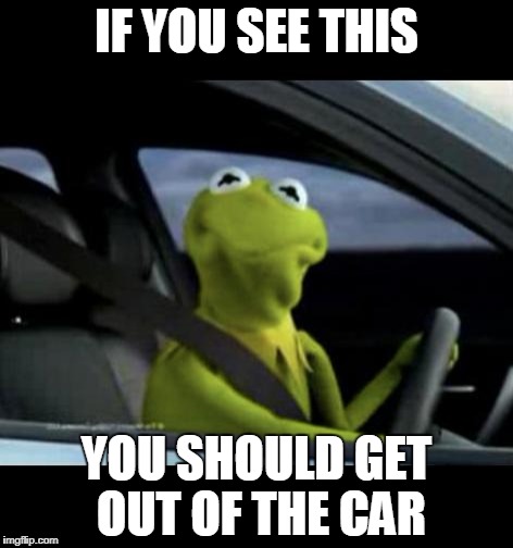 get out | IF YOU SEE THIS; YOU SHOULD GET OUT OF THE CAR | image tagged in kermit driving | made w/ Imgflip meme maker