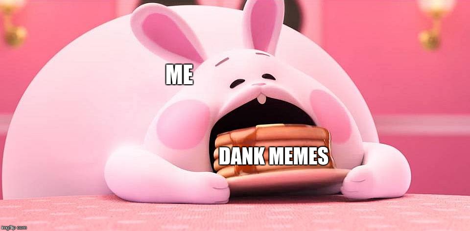 ME; DANK MEMES | image tagged in pink rabbit eating pancakes,dank memes,memes | made w/ Imgflip meme maker
