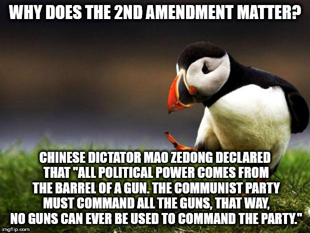 Unpopular Opinion Puffin | WHY DOES THE 2ND AMENDMENT MATTER? CHINESE DICTATOR MAO ZEDONG DECLARED THAT "ALL POLITICAL POWER COMES FROM THE BARREL OF A GUN. THE COMMUNIST PARTY MUST COMMAND ALL THE GUNS, THAT WAY, NO GUNS CAN EVER BE USED TO COMMAND THE PARTY." | image tagged in memes,unpopular opinion puffin | made w/ Imgflip meme maker