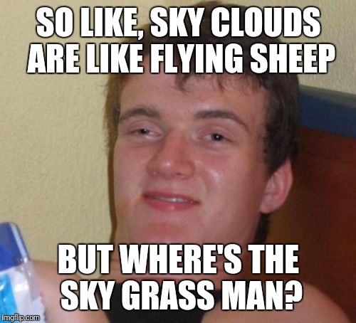 10 Guy Meme | SO LIKE, SKY CLOUDS ARE LIKE FLYING SHEEP BUT WHERE'S THE SKY GRASS MAN? | image tagged in memes,10 guy | made w/ Imgflip meme maker