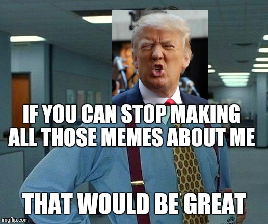That Would Be Great Meme | IF YOU CAN STOP MAKING ALL THOSE MEMES ABOUT ME; THAT WOULD BE GREAT | image tagged in memes,that would be great | made w/ Imgflip meme maker