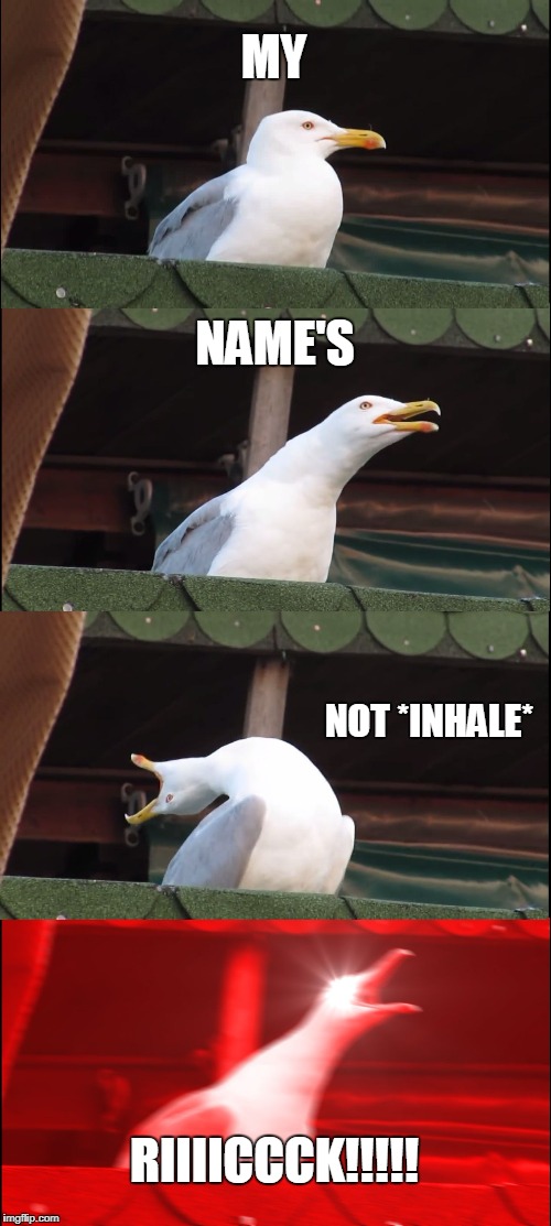If a Seagull was Patrick | MY; NAME'S; NOT *INHALE*; RIIIICCCK!!!!! | image tagged in memes,inhaling seagull | made w/ Imgflip meme maker