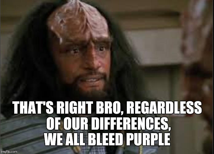 THAT'S RIGHT BRO, REGARDLESS OF OUR DIFFERENCES, WE ALL BLEED PURPLE | made w/ Imgflip meme maker