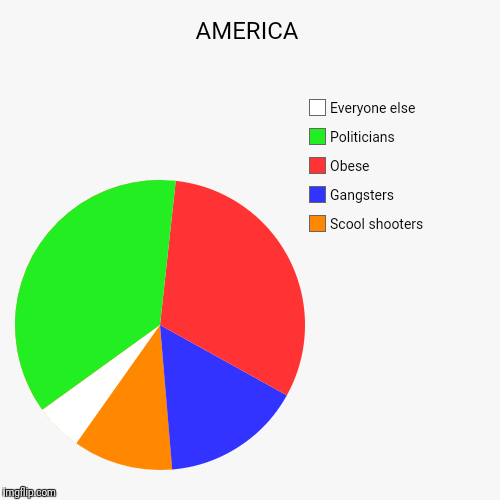 AMERICA | Scool shooters , Gangsters, Obese, Politicians, Everyone else | image tagged in funny,pie charts | made w/ Imgflip chart maker