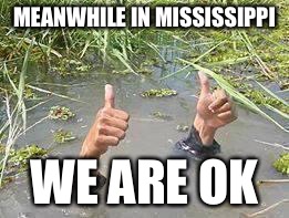 underWater | MEANWHILE IN MISSISSIPPI; WE ARE OK | image tagged in underwater | made w/ Imgflip meme maker