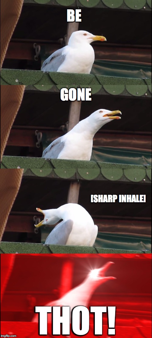 The Adventures of Abstinent Seagull | BE; GONE; [SHARP INHALE]; THOT! | image tagged in memes,inhaling seagull | made w/ Imgflip meme maker