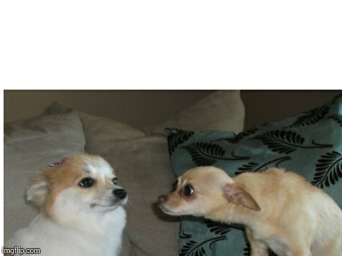 High Quality two dogs Blank Meme Template