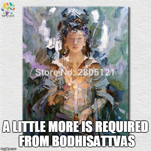 A LITTLE MORE IS REQUIRED FROM BODHISATTVAS | made w/ Imgflip meme maker