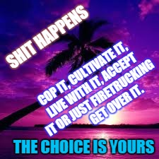 SHIT HAPPENS; COP IT, CULTIVATE IT, LIVE WITH IT, ACCEPT IT OR JUST FIRETRUCKING          GET OVER IT. THE CHOICE IS YOURS | image tagged in get over it | made w/ Imgflip meme maker
