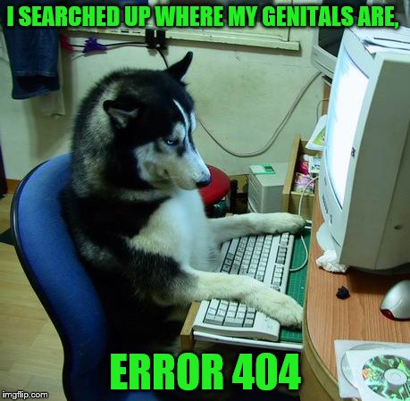 Error 404: Funny meme title not found | I SEARCHED UP WHERE MY GENITALS ARE, ERROR 404 | image tagged in memes,i have no idea what i am doing,error 404,genitals,dog | made w/ Imgflip meme maker